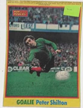 Goalkeeping in action (sport in action)