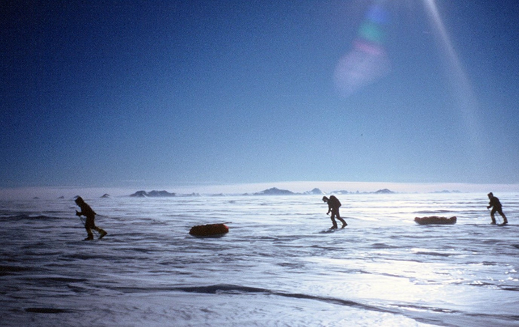 British explorer Tom Avery leads record-breaking Greenland crossing