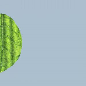 Investing for Purpose and Profit Speaker