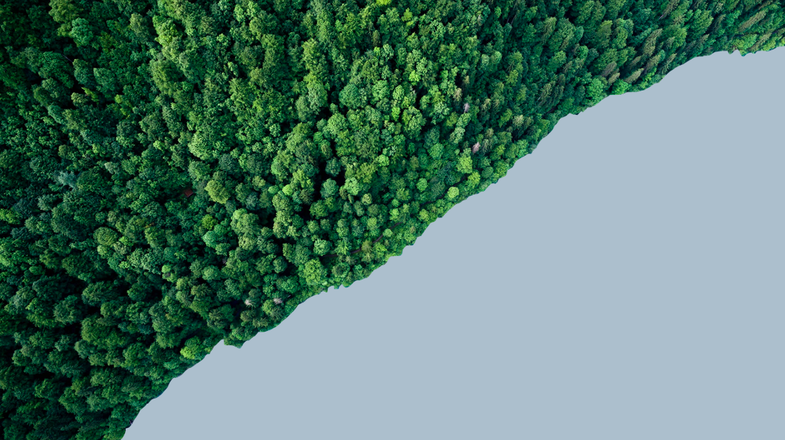 World Earth day image of trees