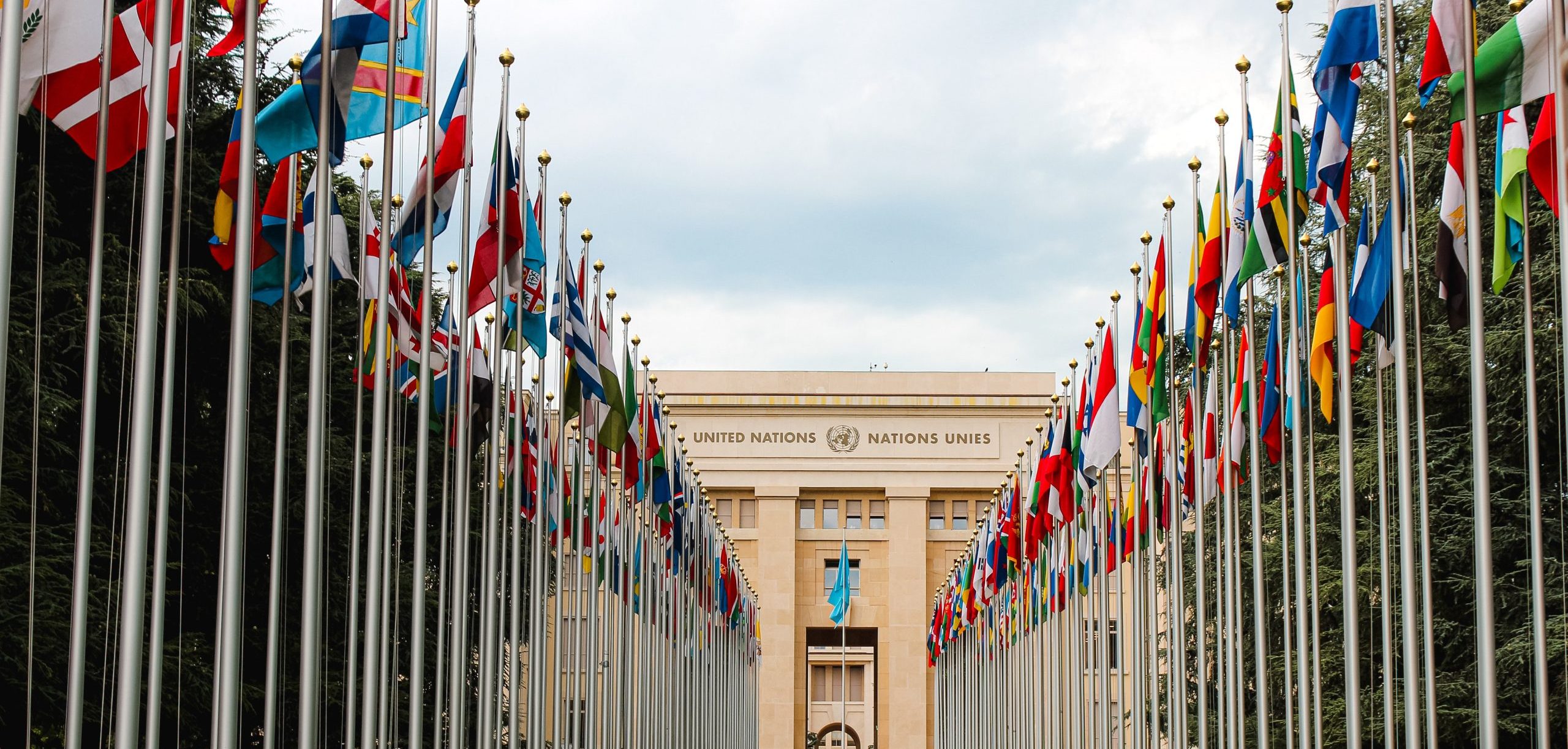 international affairs and security