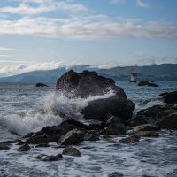 Fostering Stability Through Volatility... Speaker