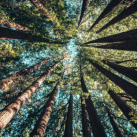 COP28 - What lies ahead? Speaker